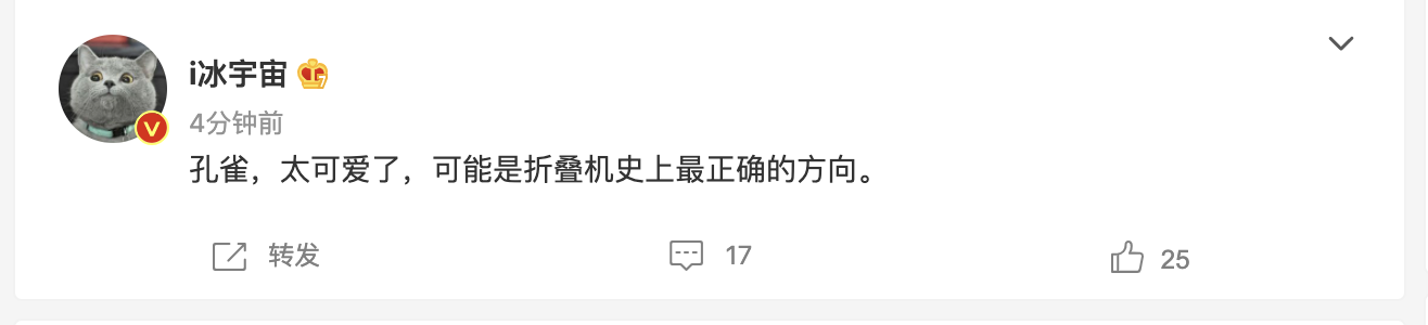 OPPO入局折叠屏阵列：四年磨一剑，折叠手机市场或将迎来新转折点