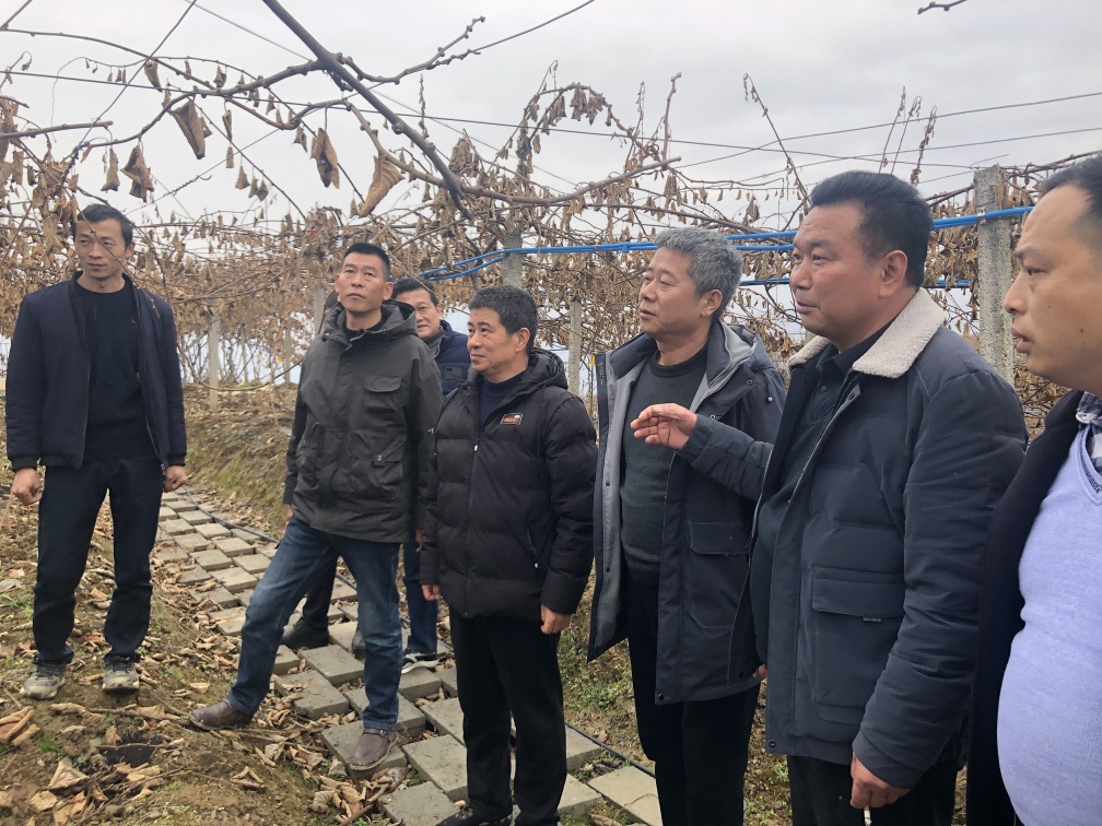 统筹城乡发展-建设美好乡村