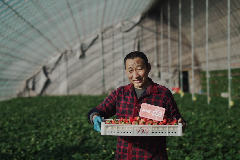 好年货不用多等 拼多多30亿红包聚焦全国全球尖货好物