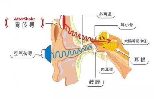 什么是骨传导耳机，骨传导耳机原理