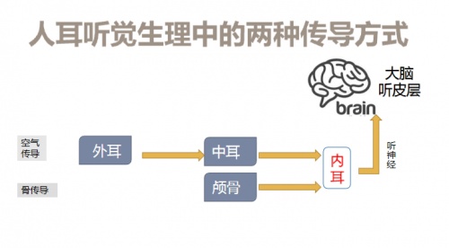 骨传导蓝牙耳机哪个牌子好？深度体验多款骨传导耳机总结