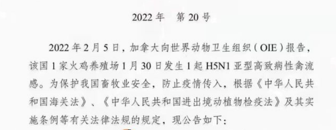 宠物粮赛道「四郊多垒」，比瑞吉、溯食和生生不息如何突围？